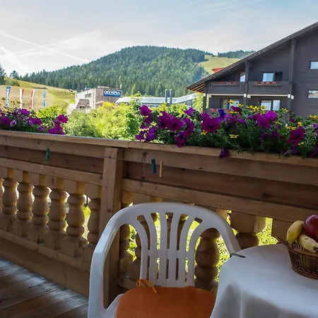 Edelweiss * Seefeld in Tirol