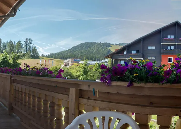 Edelweiss * Seefeld w Tirolu